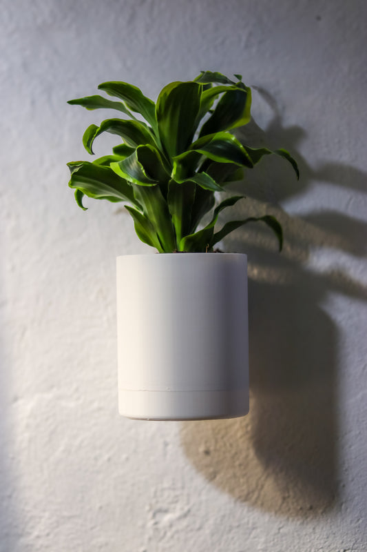 Wall-Mounted Planter