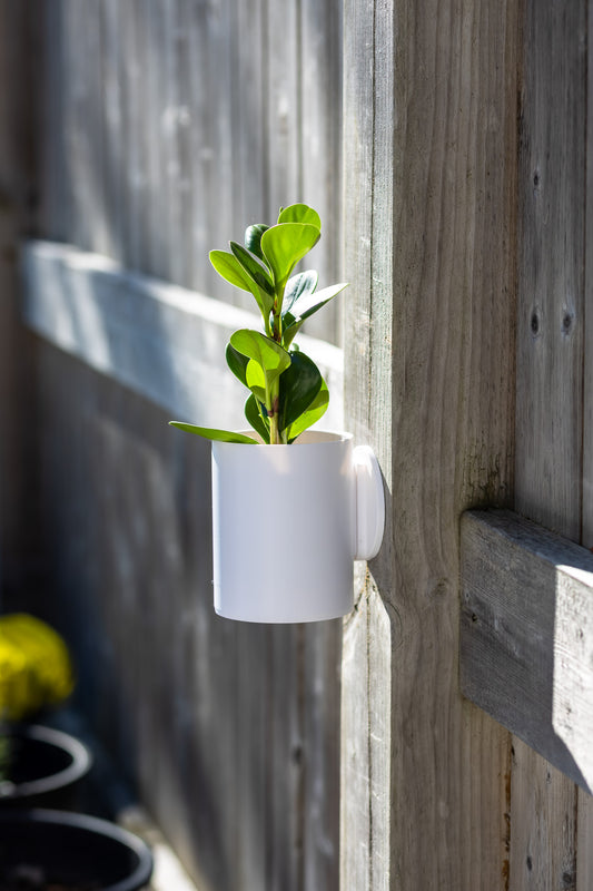 Aero Wall Mounted Planter