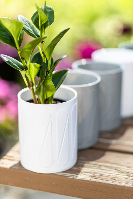 Halo Wall-Mounted Planter