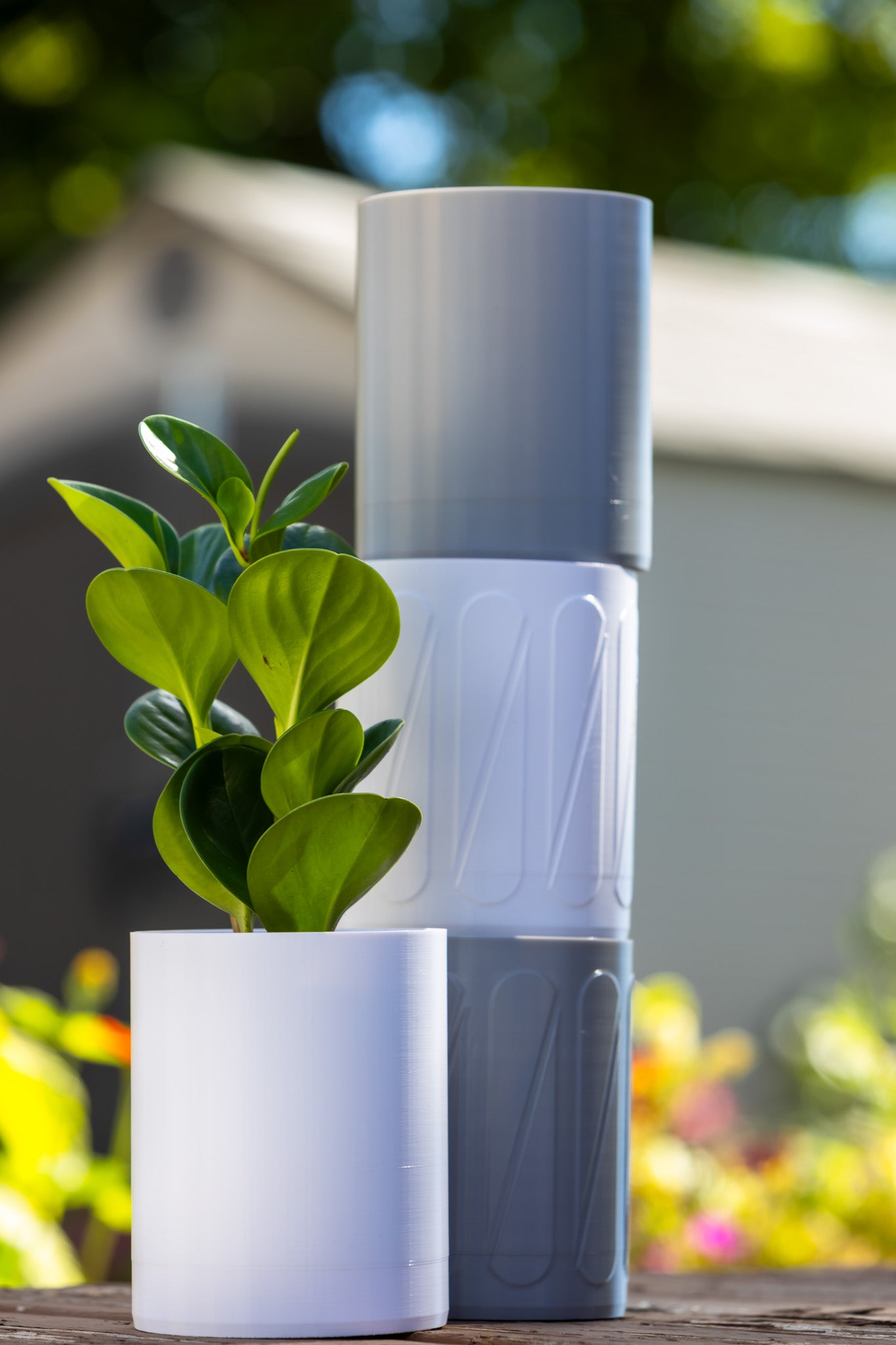 Aero Wall Mounted Planter