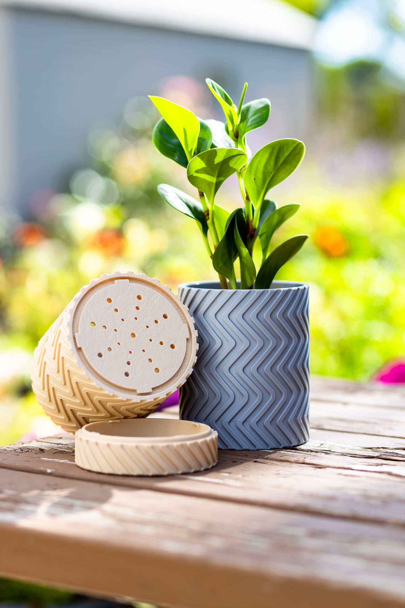 Plant Lovers