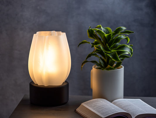Rose Bloom 3D Lamp