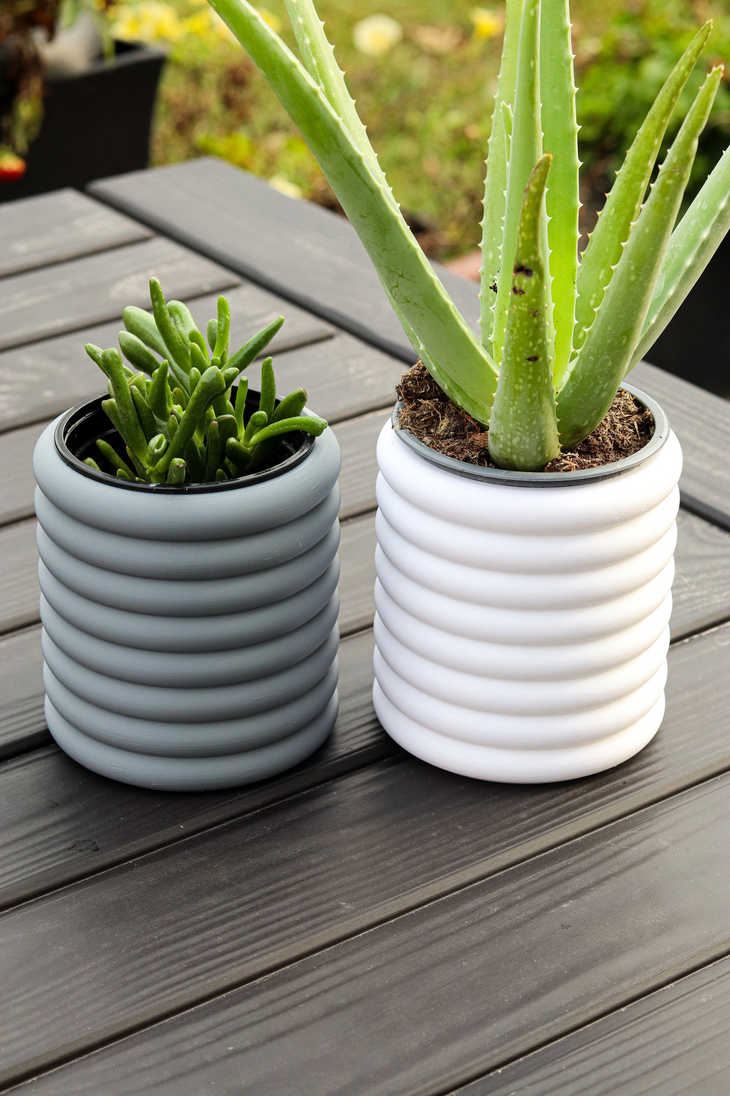 Bubble Planter