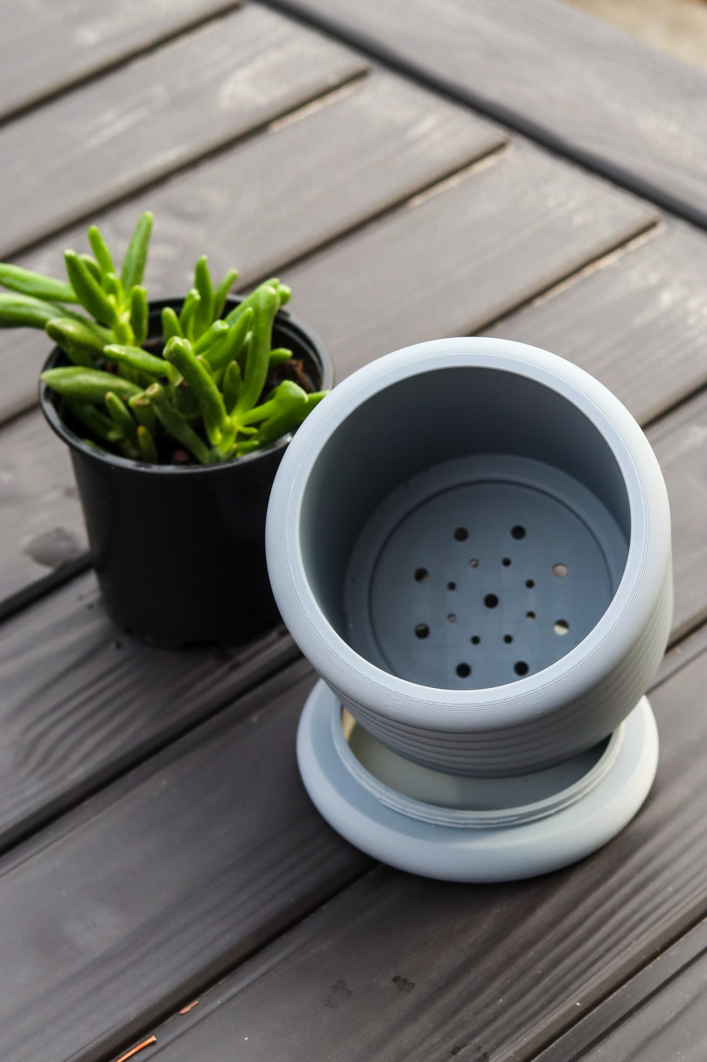 Bubble Planter
