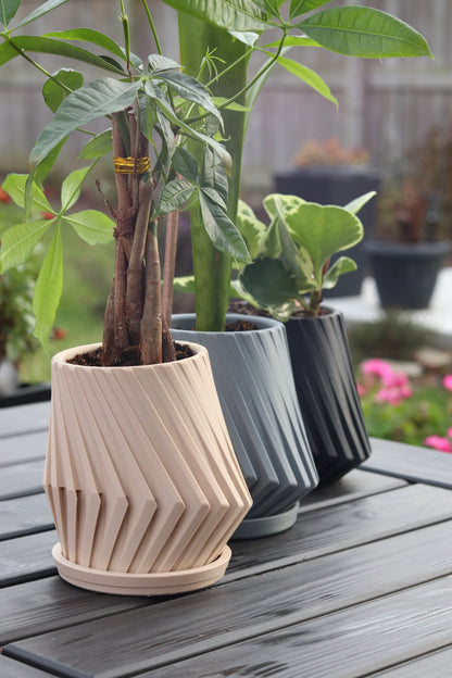 Angular Planter