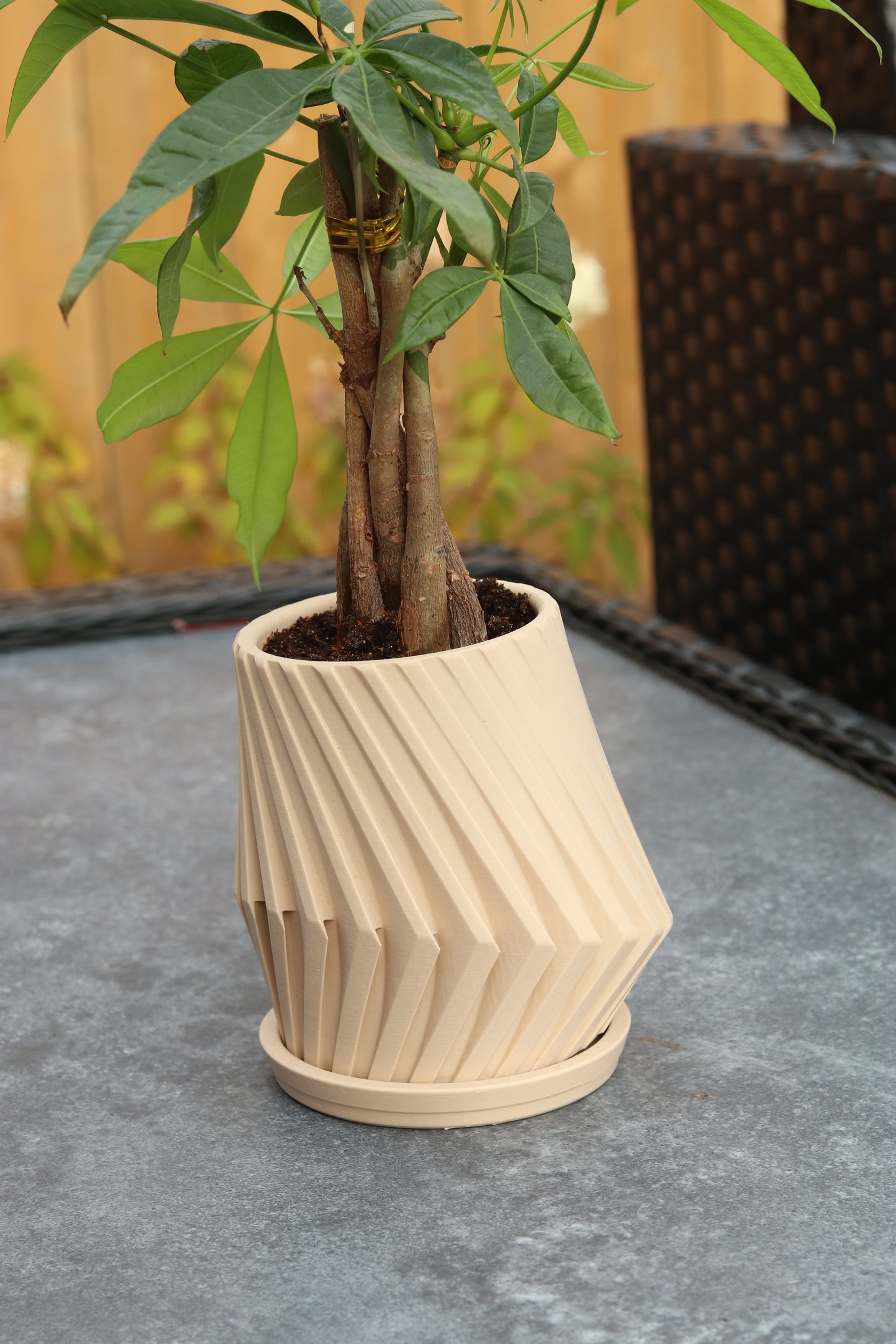Angular Planter