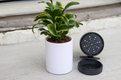 Wall-Mounted Planter