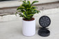 Wall-Mounted Planter