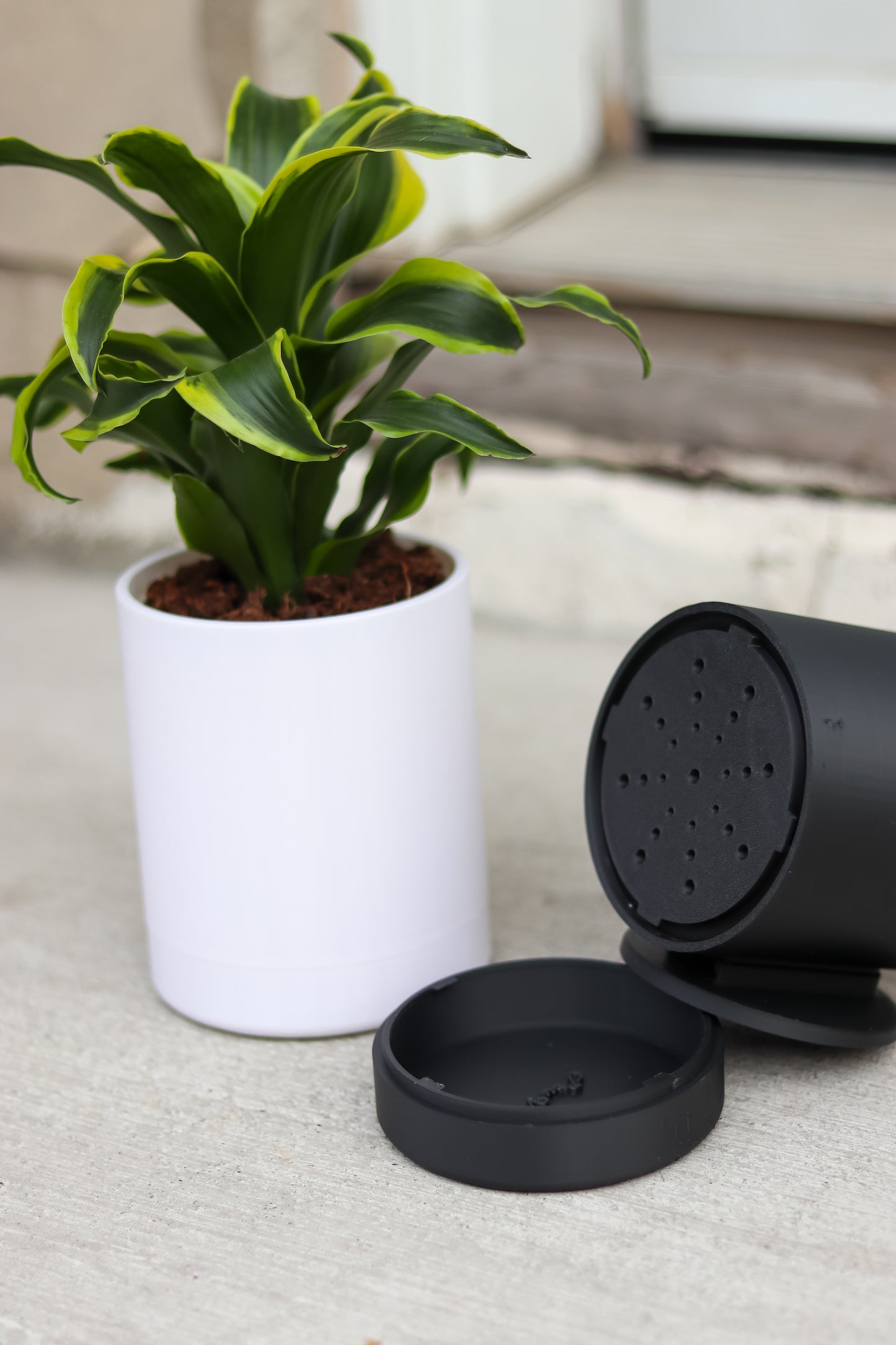 Wall-Mounted Planter
