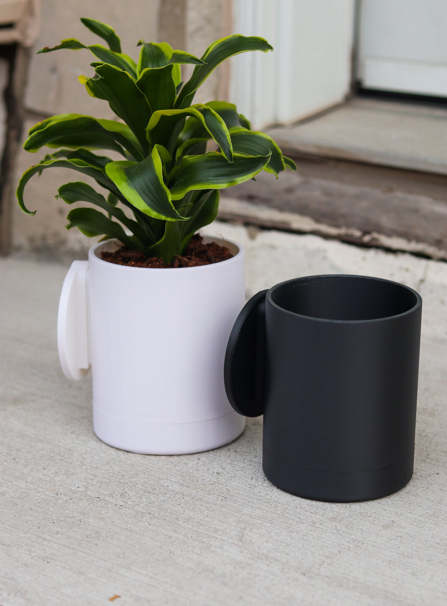 Wall-Mounted Planter