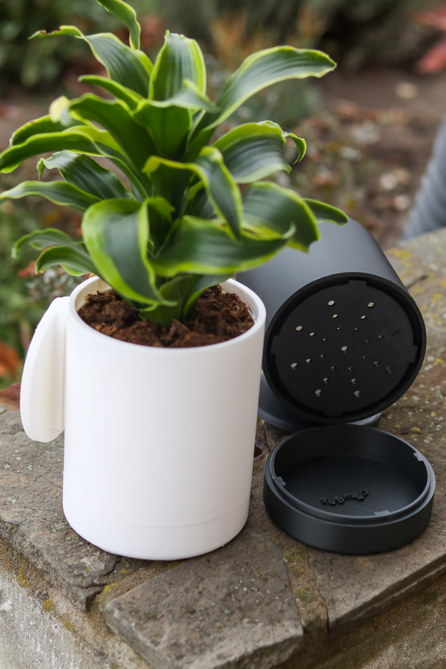 Wall-Mounted Planter
