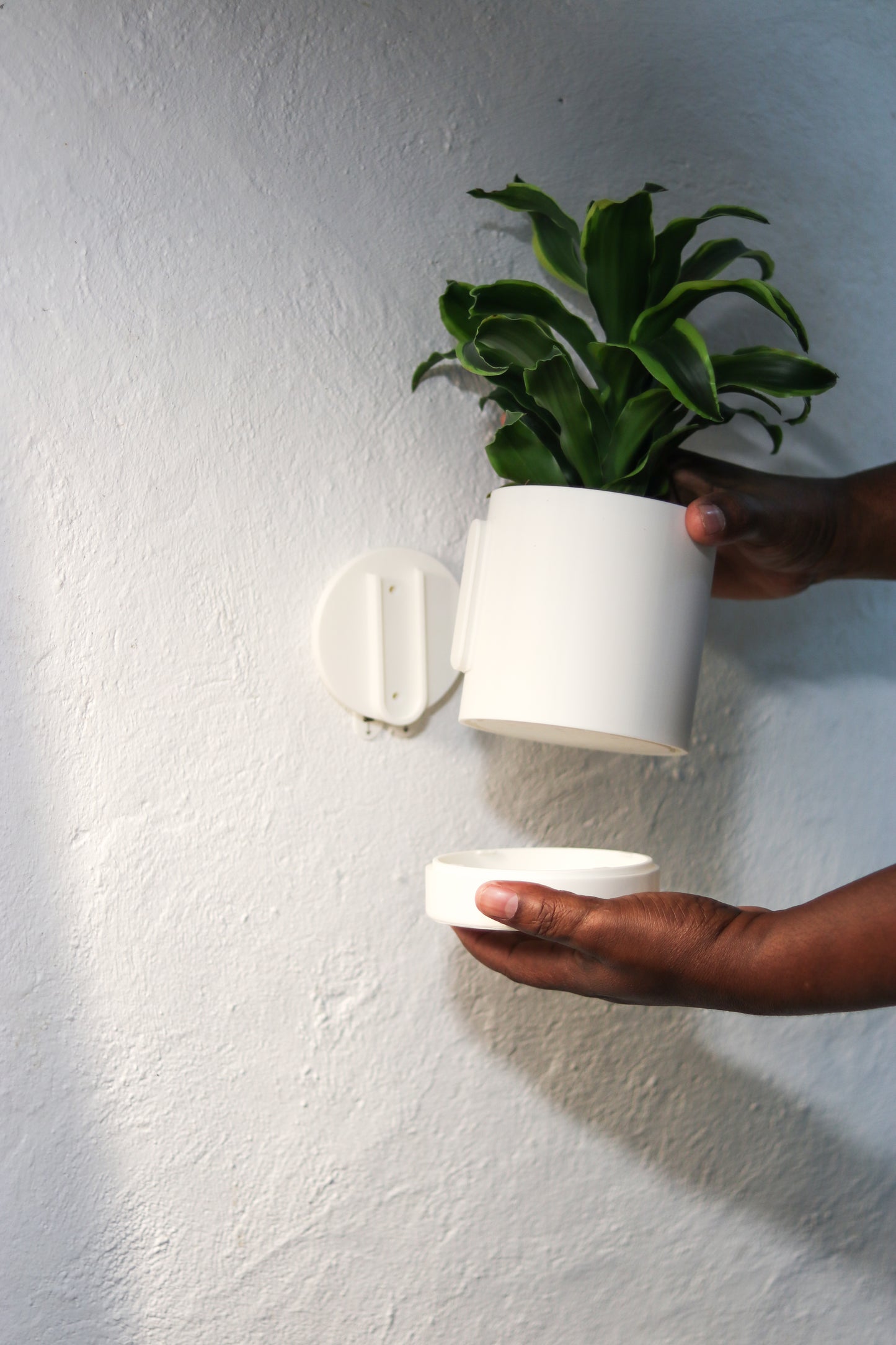 Wall-Mounted Planter