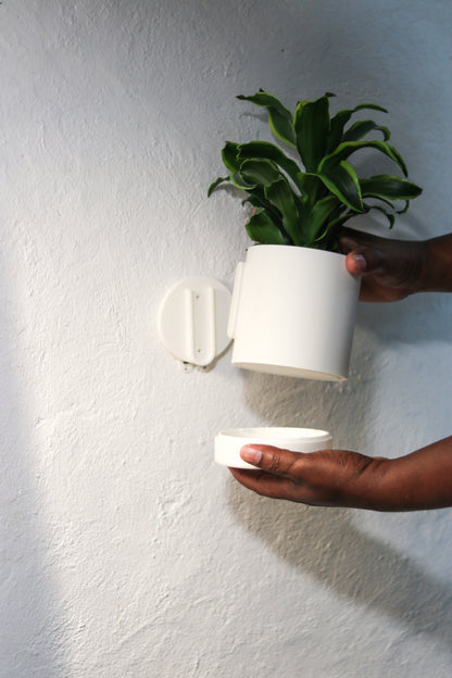 Wall-Mounted Planter