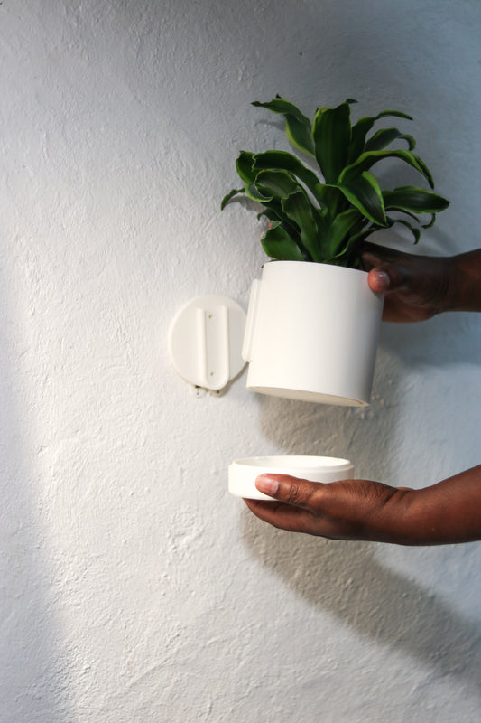 Wall-Mounted Planter