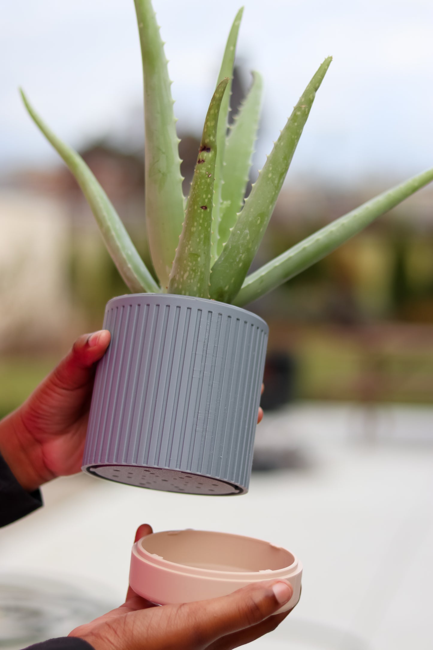 Zen Planter