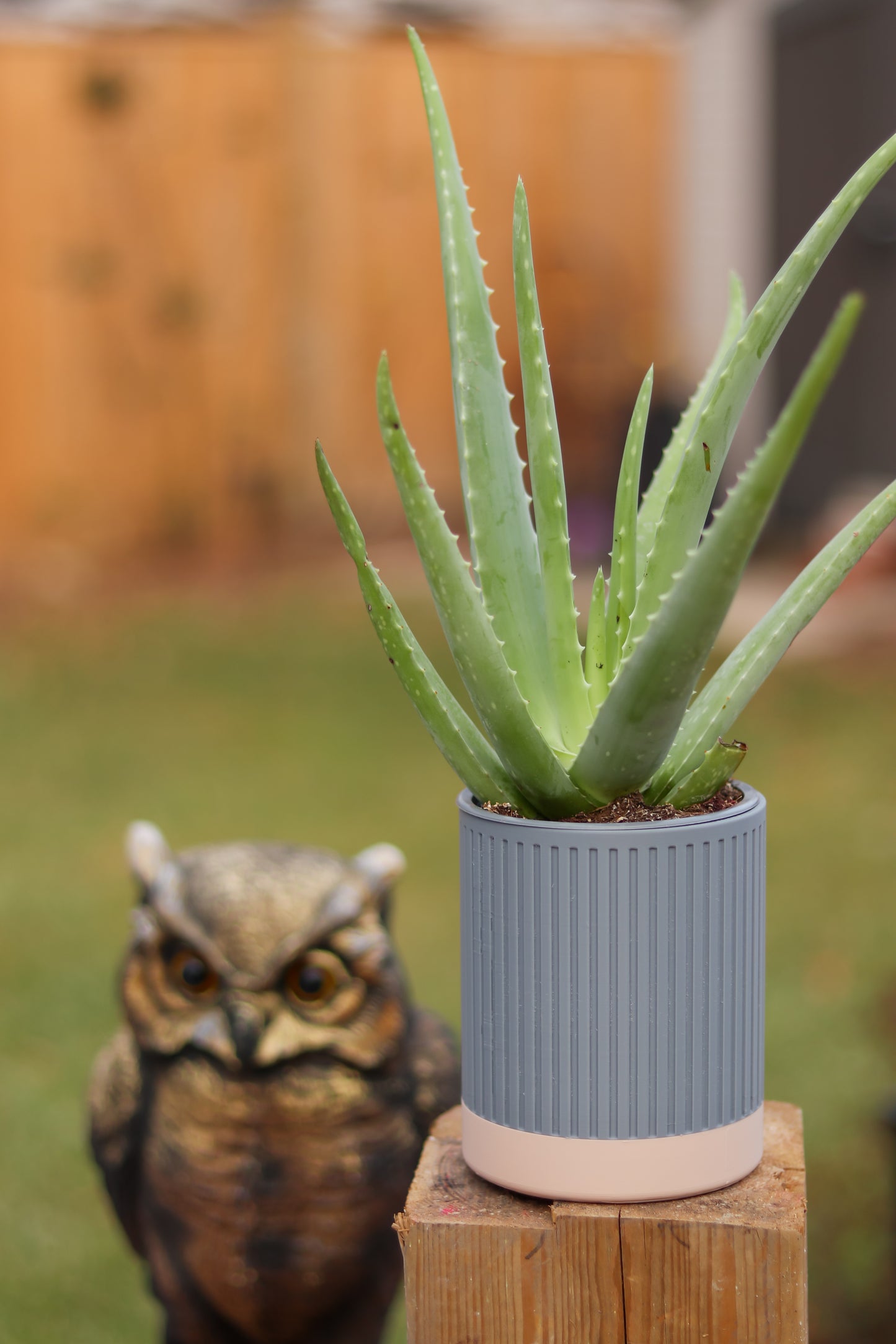 Zen Planter