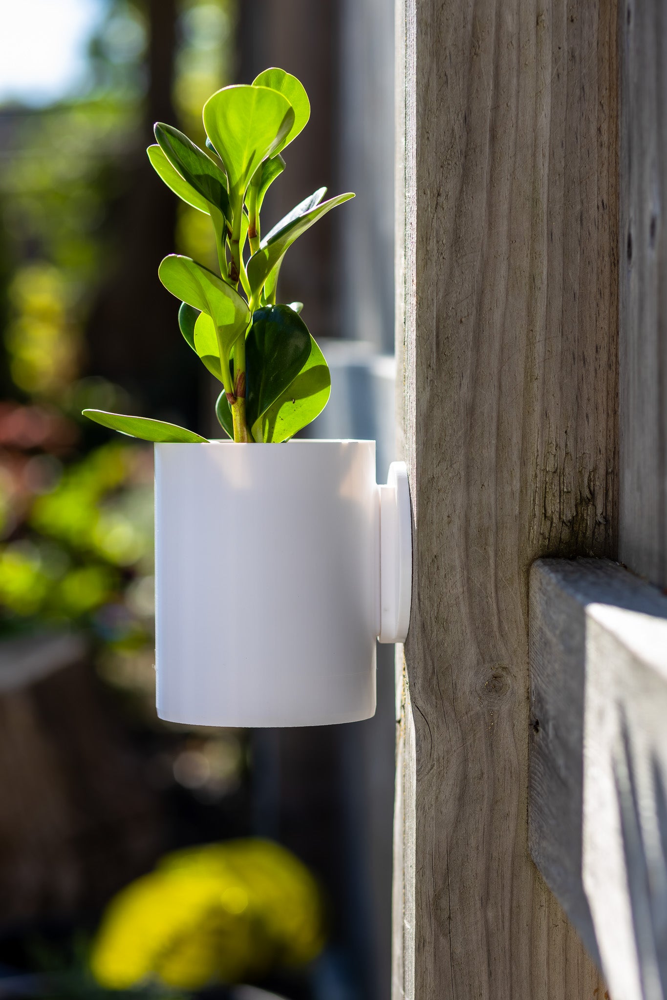 Aero Wall Mounted Planter