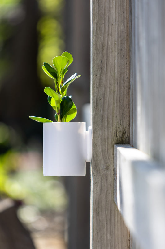 Aero Wall Mounted Planter