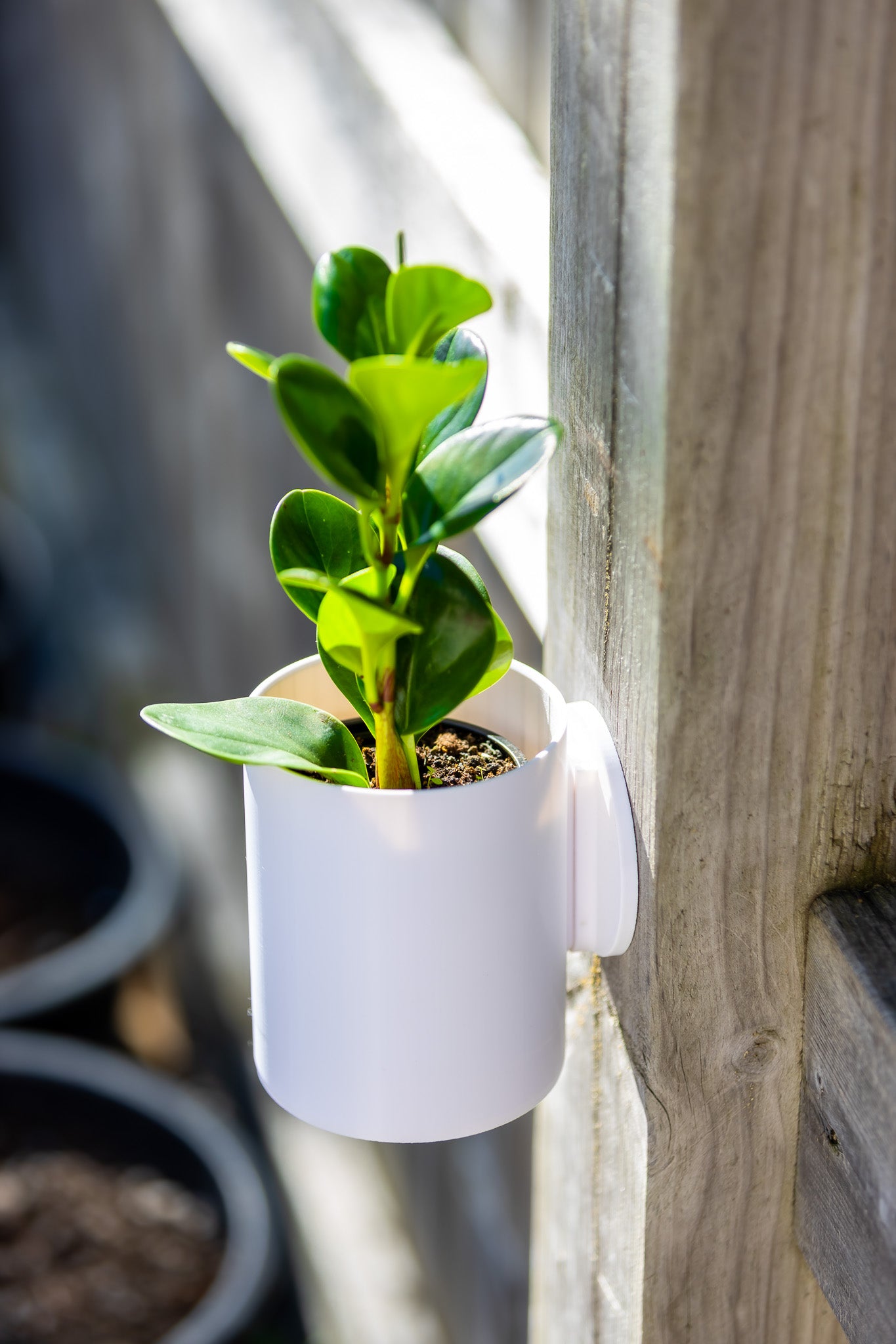 Aero Wall Mounted Planter
