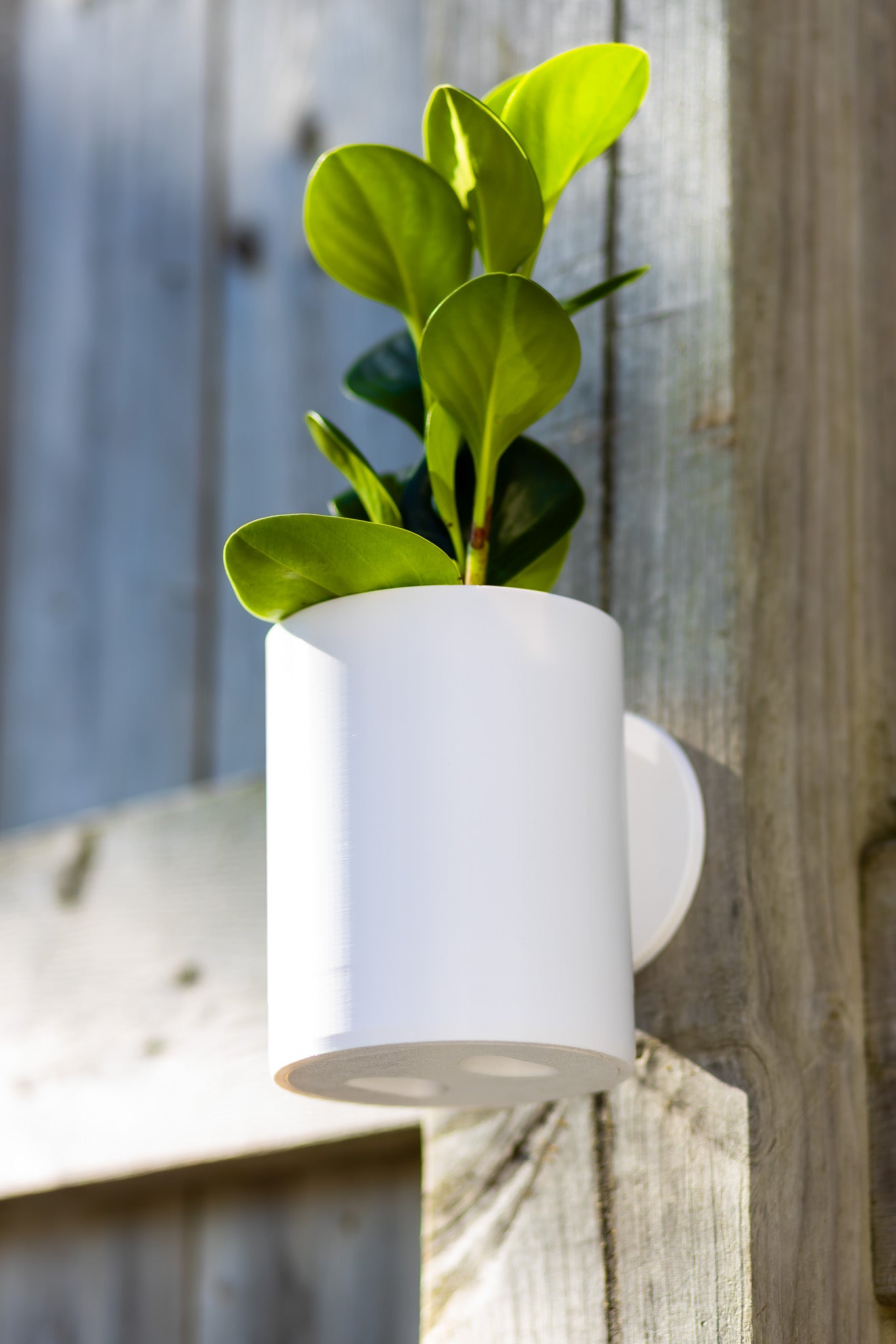 Aero Wall Mounted Planter