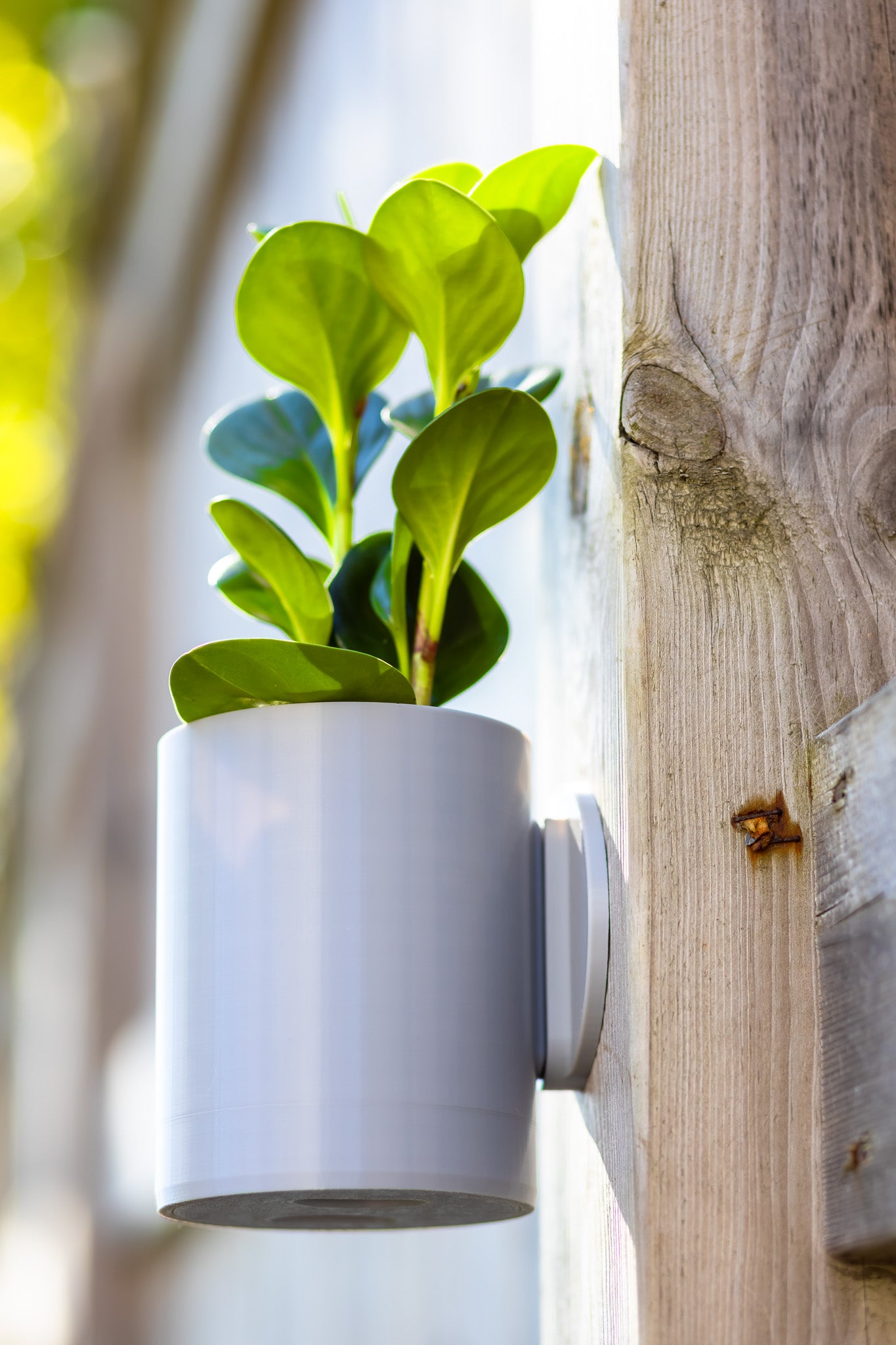Aero Wall Mounted Planter