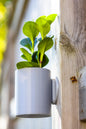 Aero Wall Mounted Planter