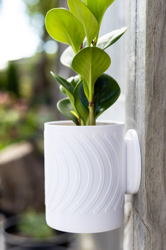 Linea Wall Mounted Planter