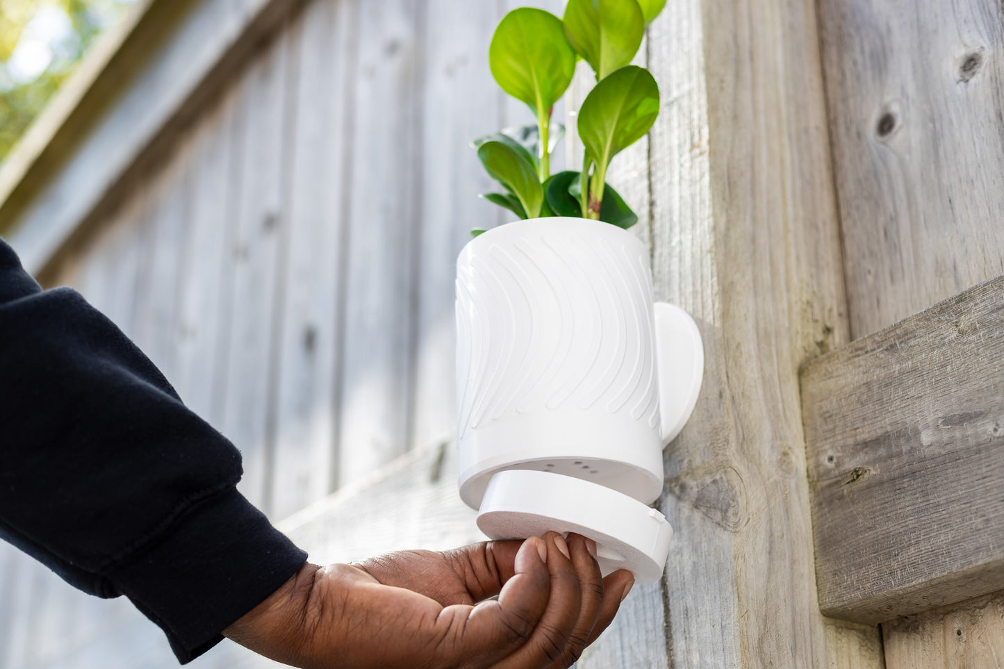 Aero Wall Mounted Planter