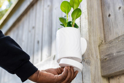 Linea Wall Mounted Planter