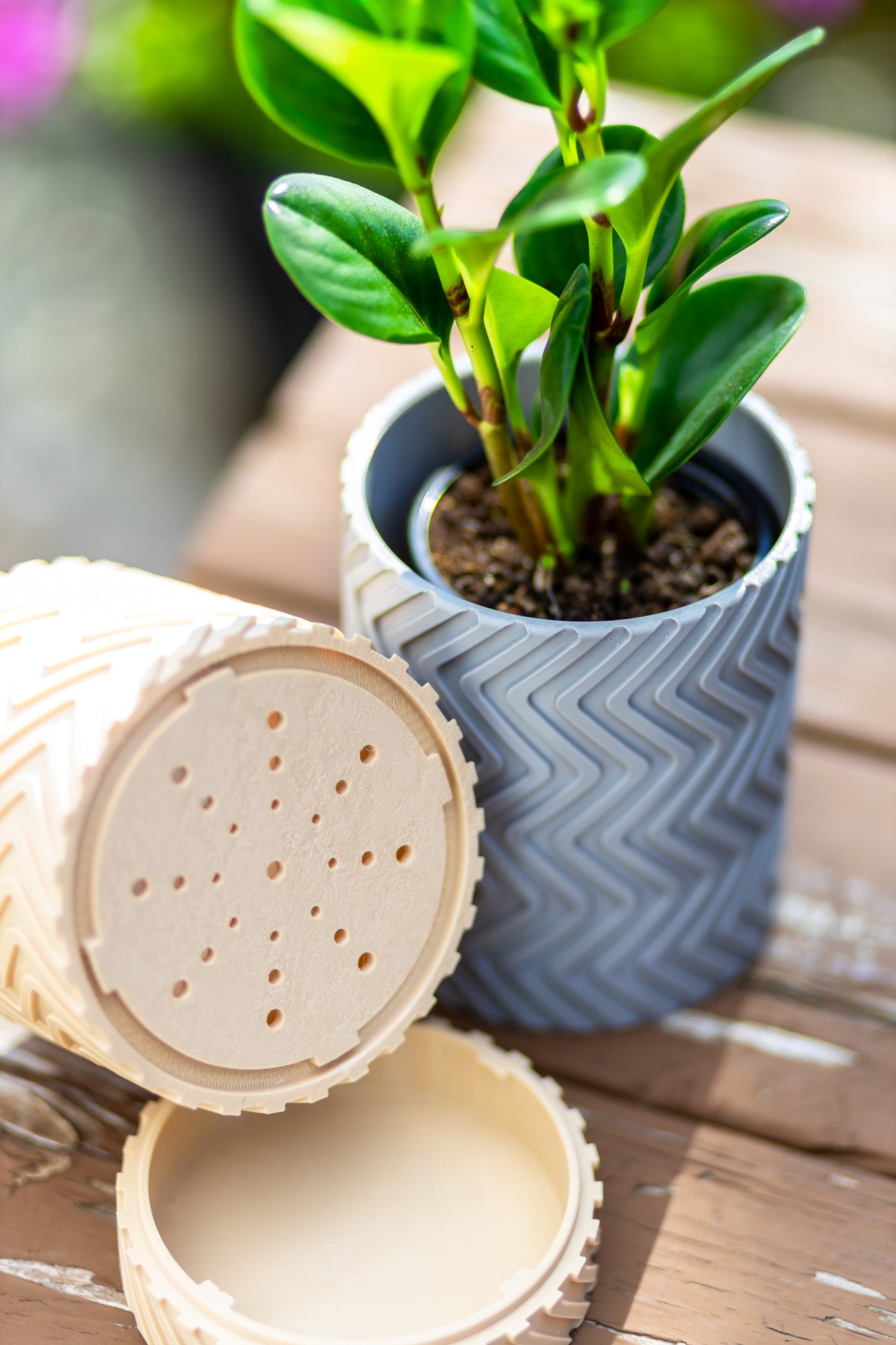 Wave Planter
