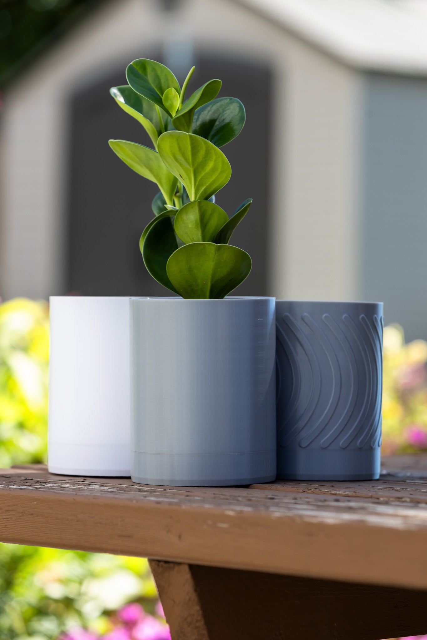 Aero Wall Mounted Planter