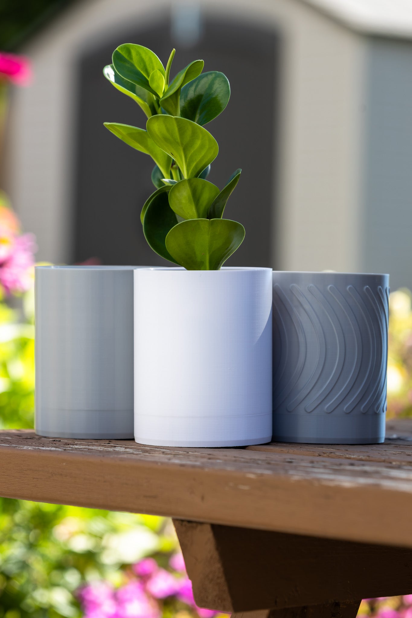 Aero Wall Mounted Planter