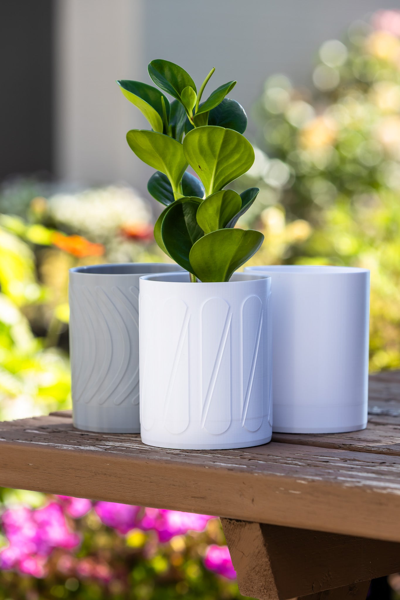 Halo Wall-Mounted Planter
