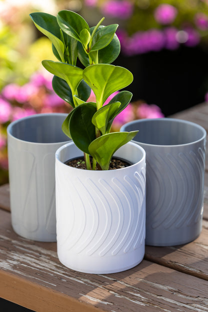 Linea Wall Mounted Planter