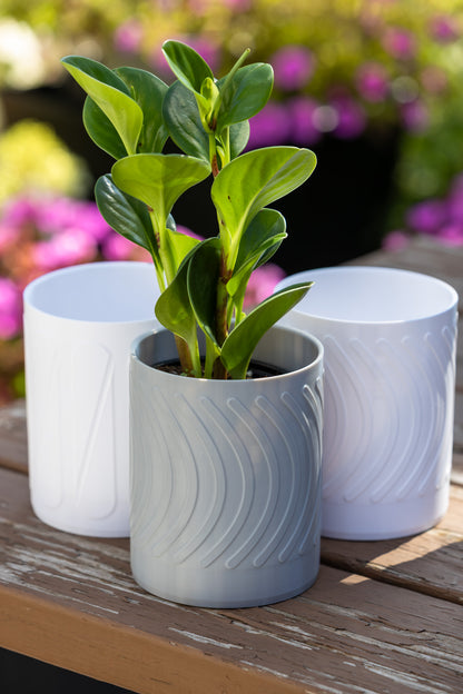 Linea Wall Mounted Planter