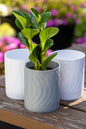Linea Wall Mounted Planter