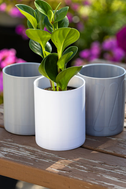 Aero Wall Mounted Planter